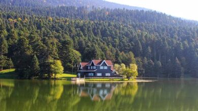 Bolu Sağlık Kabinleri