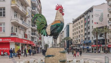 Denizli Sağlık Kabinleri